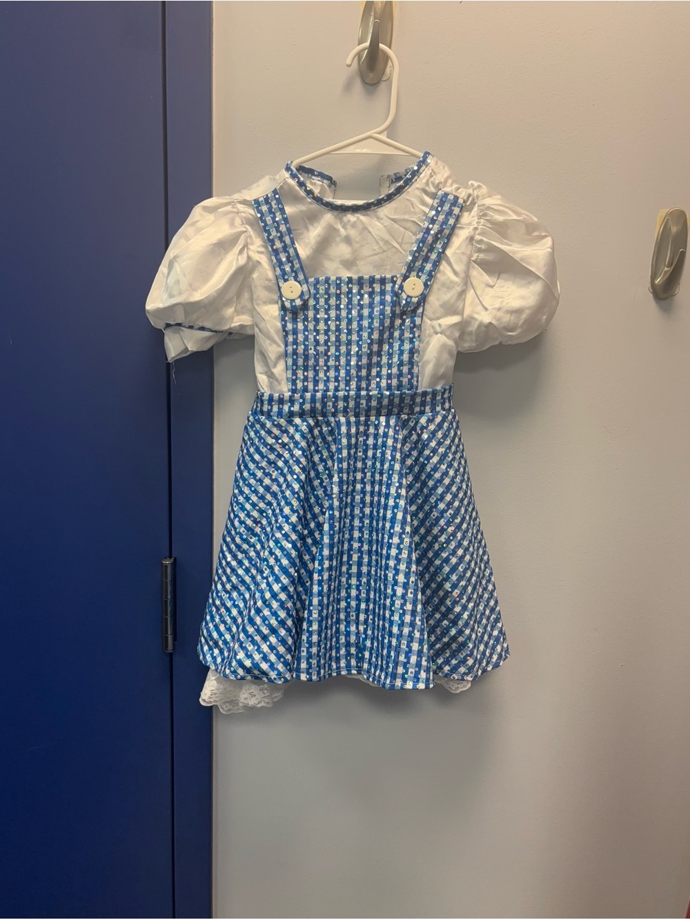 Blue Gingham Girls' Costume Dress with Puff Sleeves